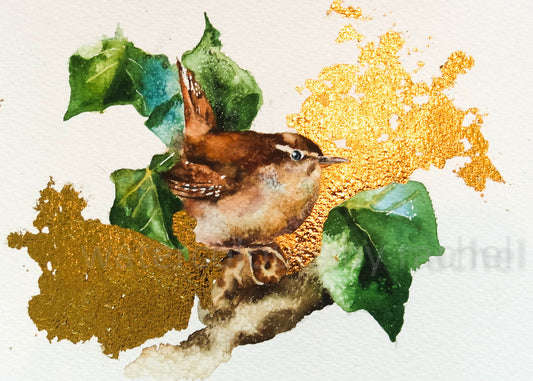 Golden Wren
