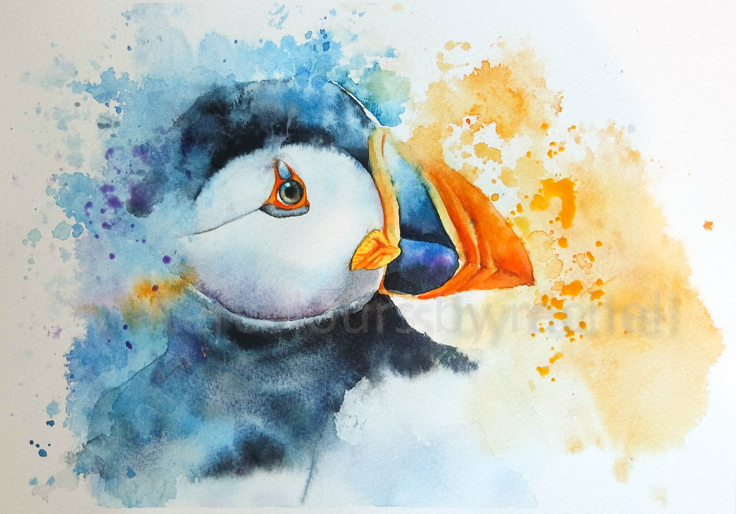 Splishy Splashy Puffin