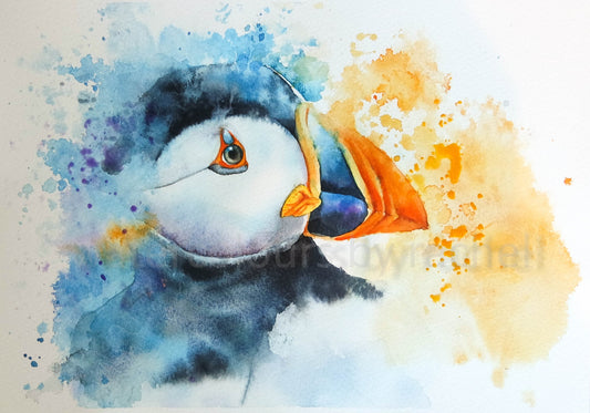 Splishy Splashy Puffin