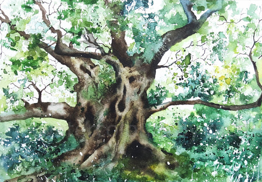 Great Oaks from little Acorns Grow