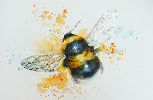Notice the bumble bee