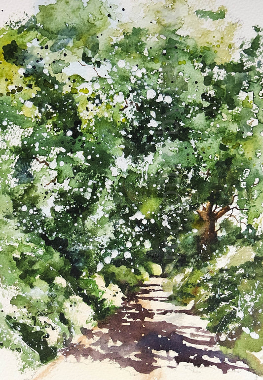 Devon Lane (summer)