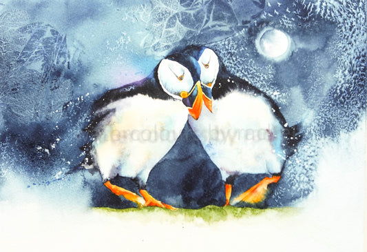 Puffins ( By the light of the silvery moon)