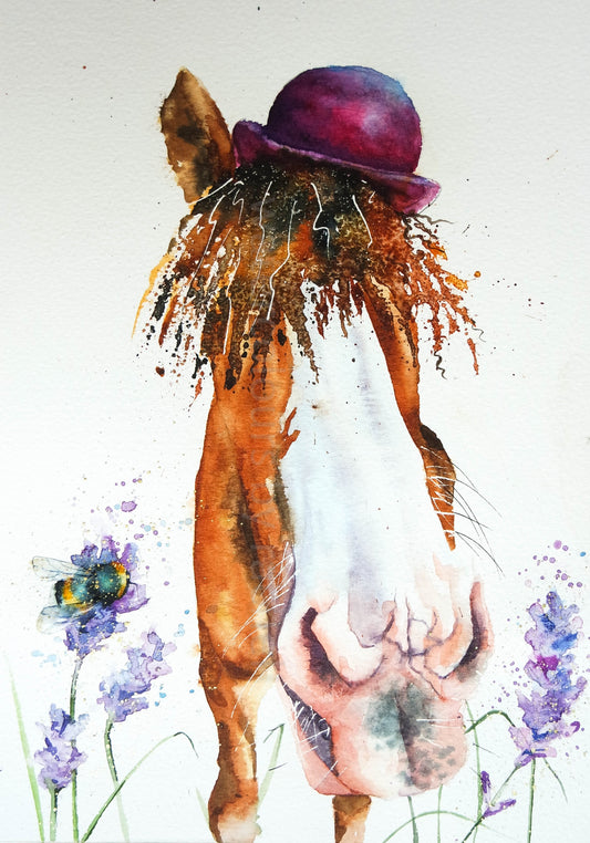 Lavender ( the friendly horse)