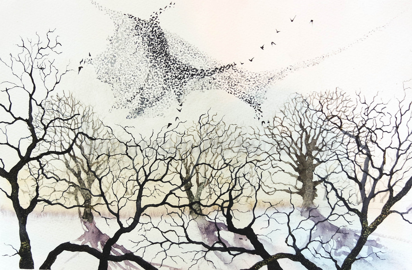 murmuration
