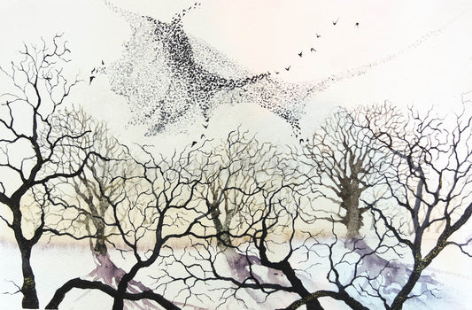 murmuration