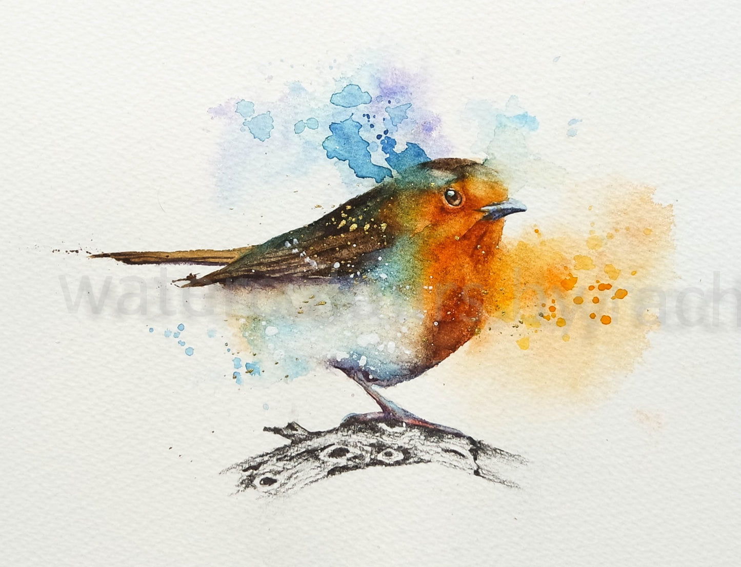 Robin on a pencil drawn branch