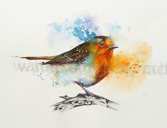 Robin on a pencil drawn branch