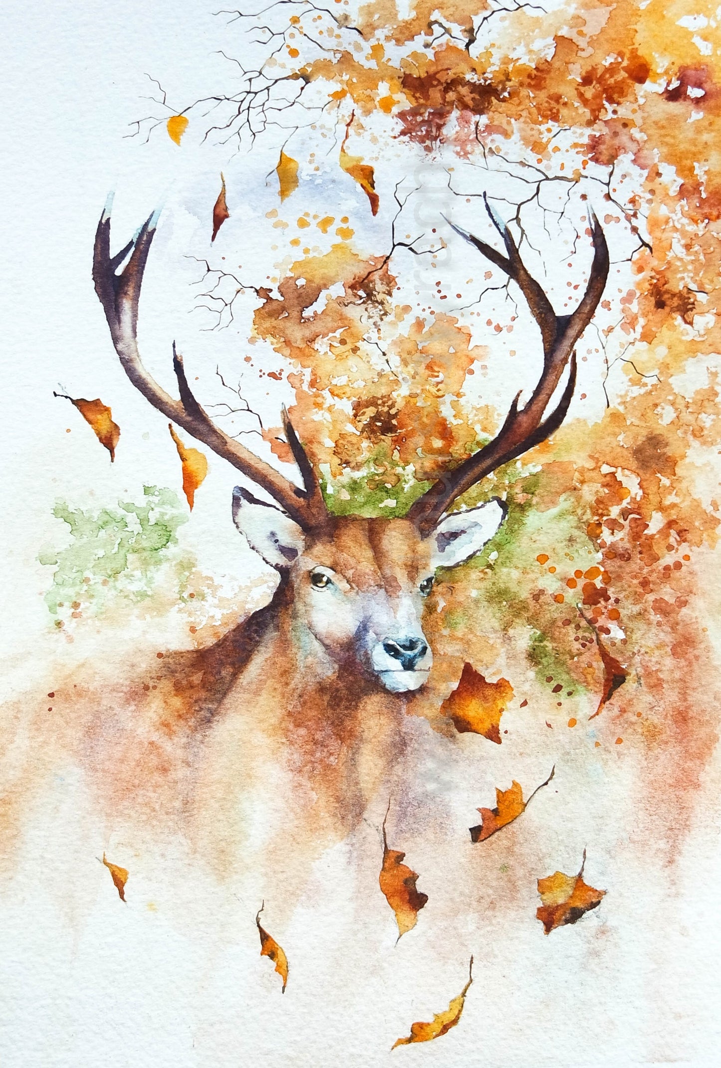 Autumn Stag