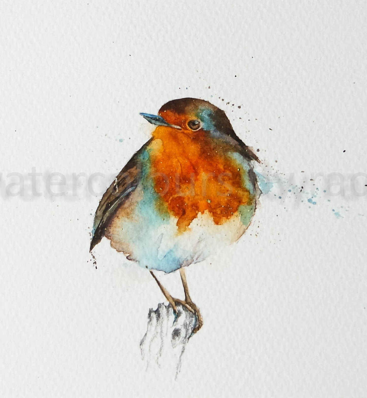 ***CHRISTMAS SPECIAL*** Sweet Robin