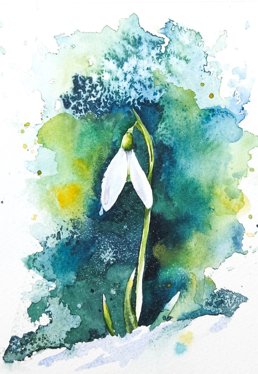 ***CHRISTMAS SPECIAL*** Snowdrop