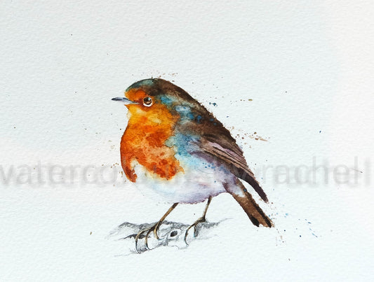 ***CHRISTMAS SPECIAL*** Robin on a pencil branch