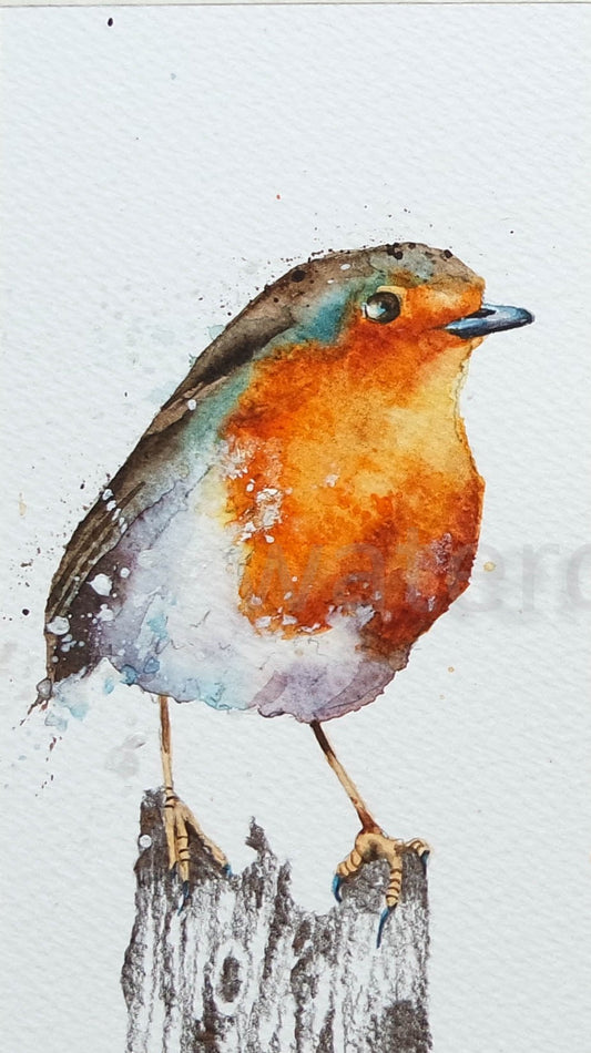 ***CHRISTMAS SPECIAL*** Cheeky Robin