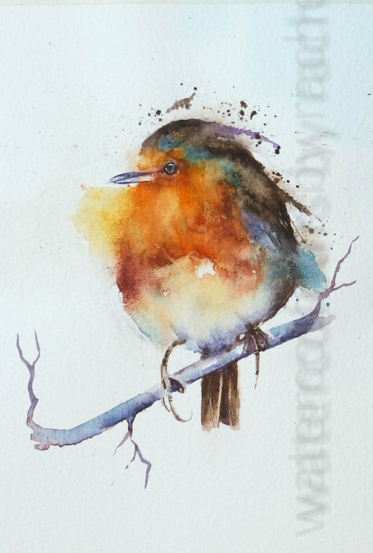 ***CHRISTMAS SPECIAL*** Splashy Splishy Robin