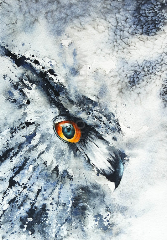 Owl (eye)