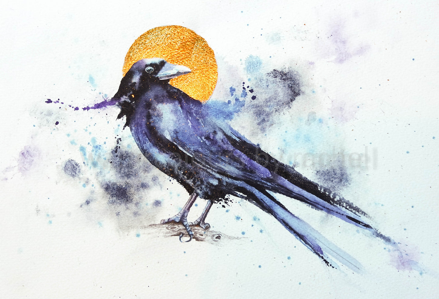 Sunlit Crow