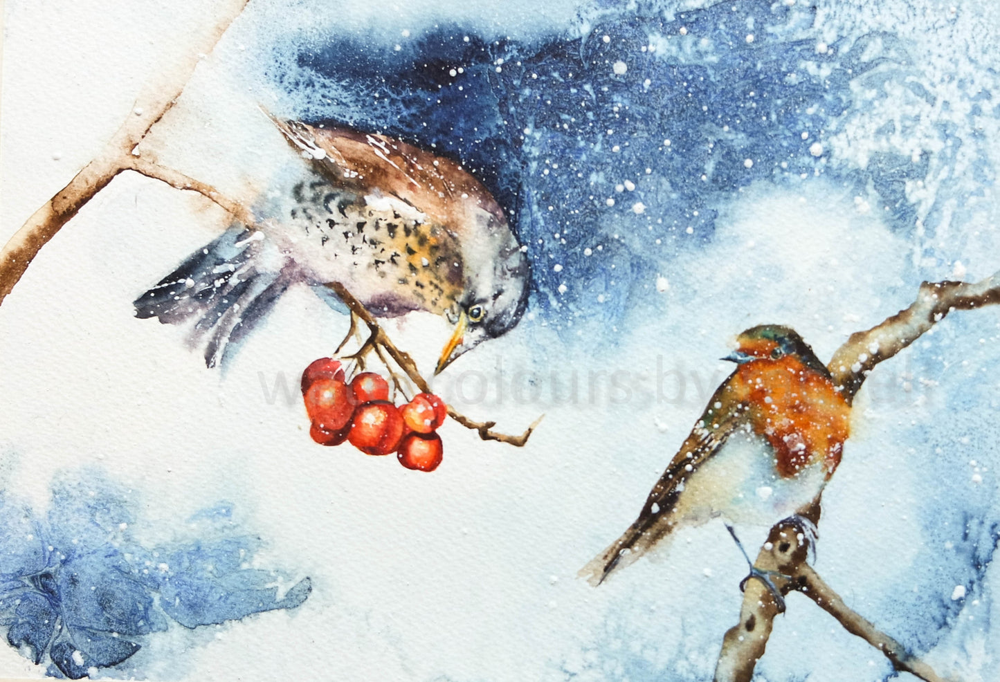 Winter Birds