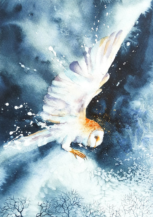 A Flight of mystery and elegance ( 2)