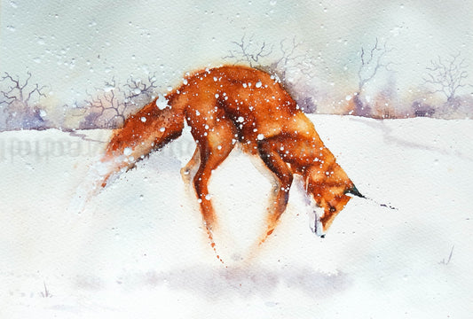 Winter Fox