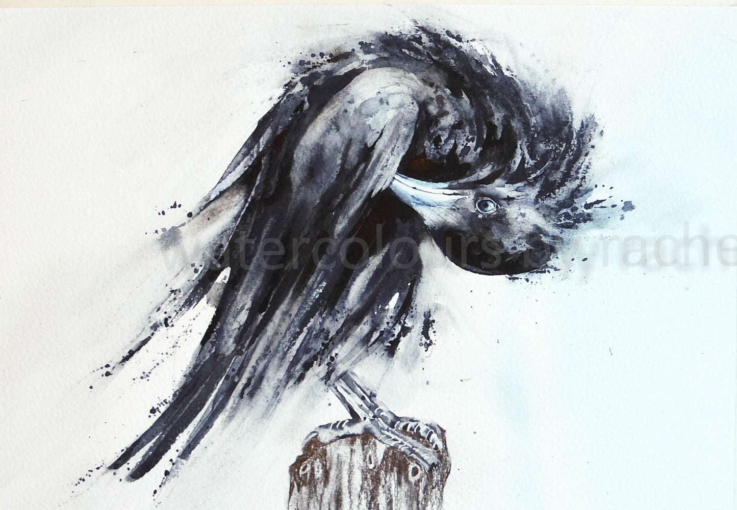 Crow , on a Bare Branch