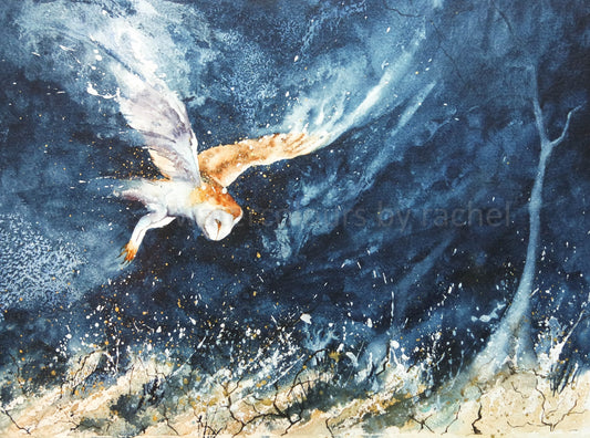 Night Hunter.... ( Barn Owl)