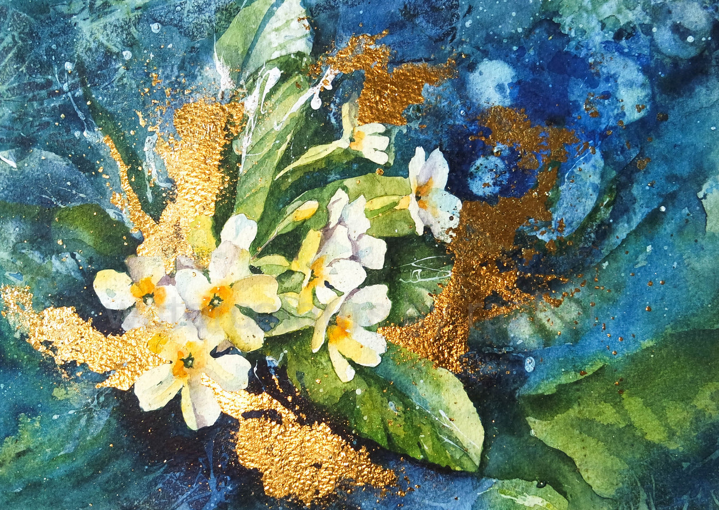 Primroses