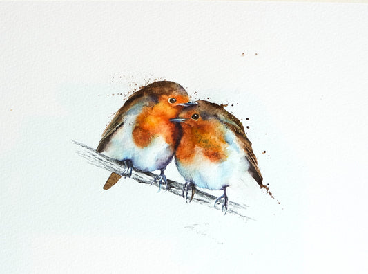A pair of loving robins