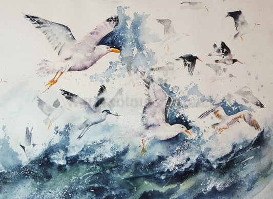 A cacophony of sea birds