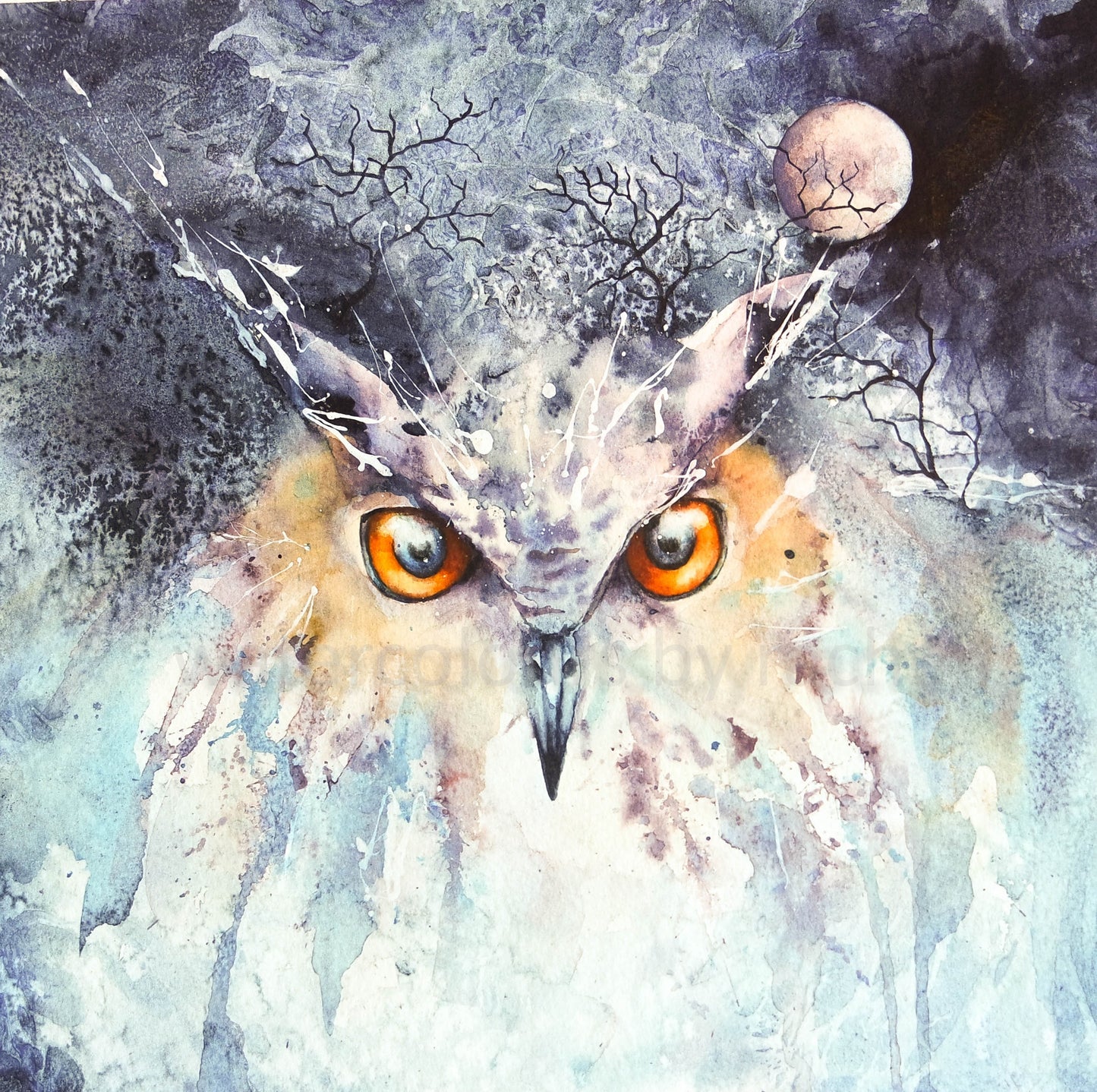 Night Owl