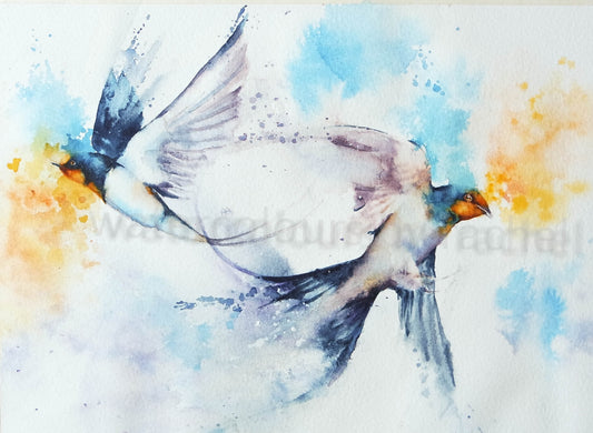 Birds of passage ( swallows)