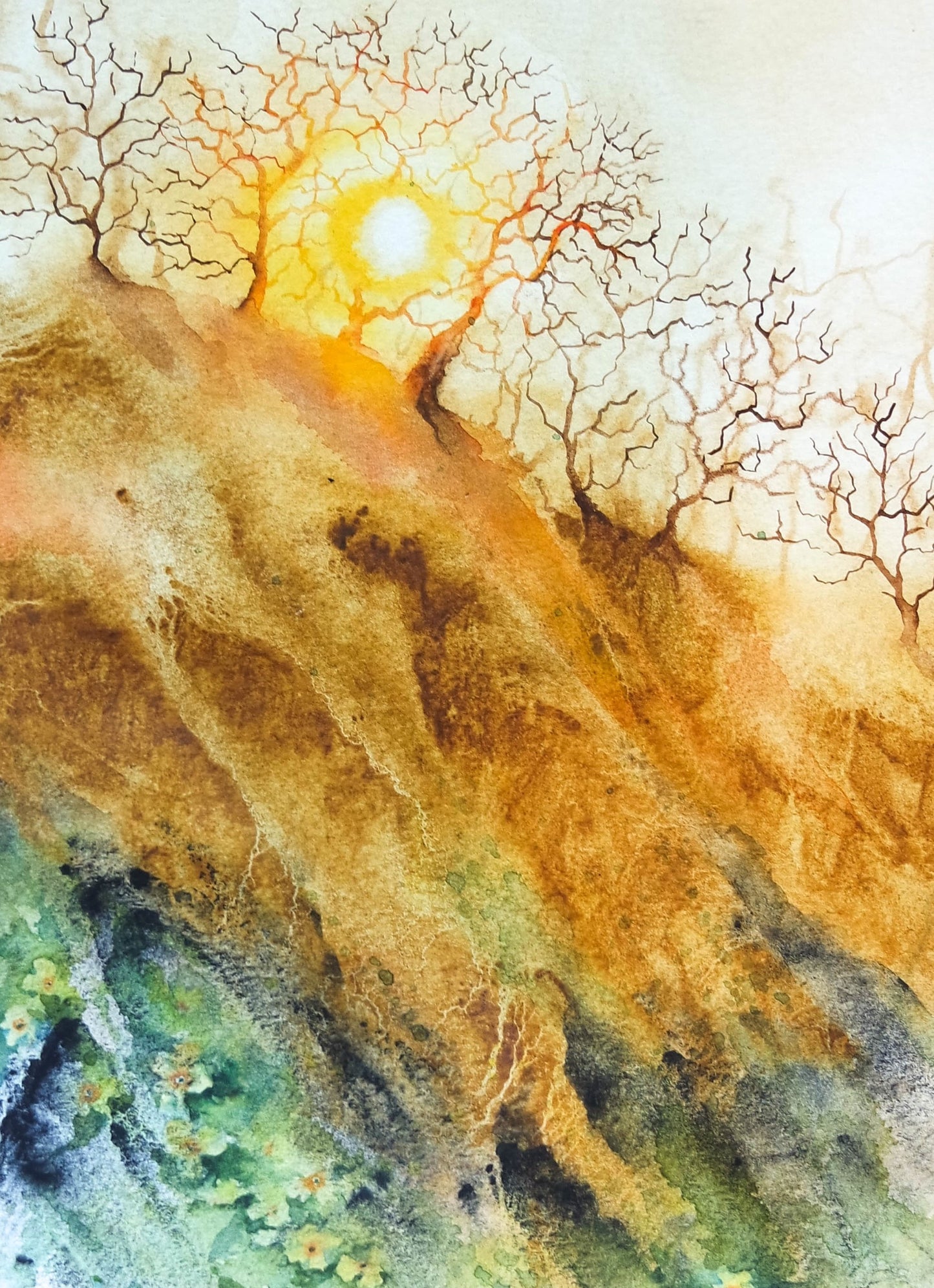 Spring Bank