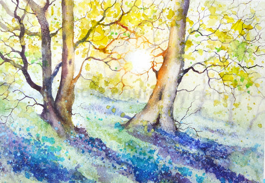 Bluebell Wood ***SALE***