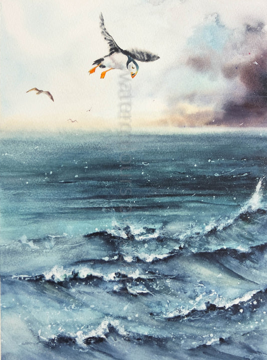 Battling the storm ( puffin)