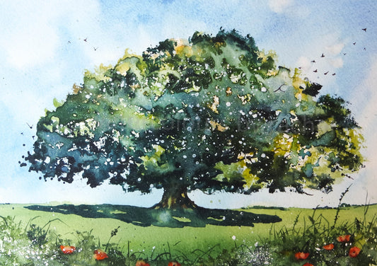 Oak Tree