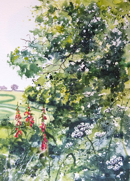 Early summer Mid Devon