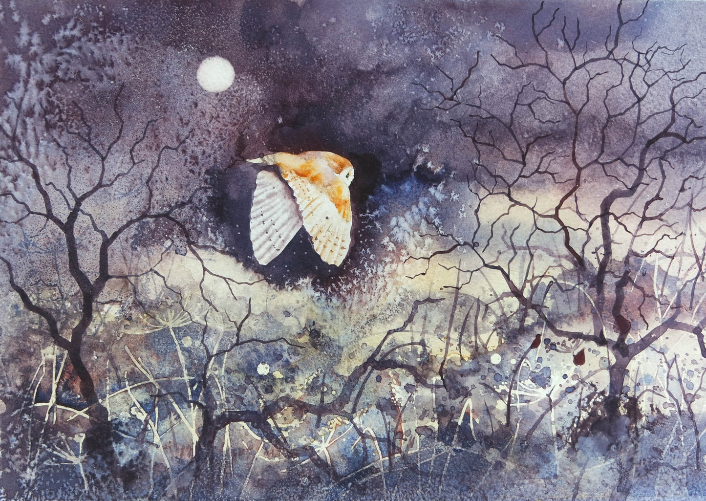 Night Hunter.... ( Barn Owl)