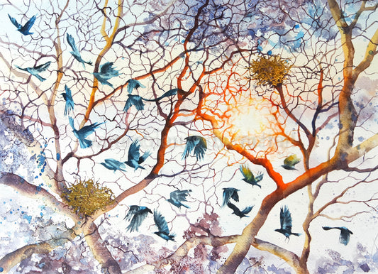 Dawn at the Rookery