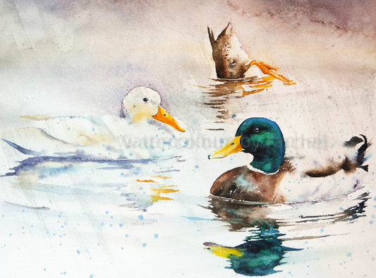 Lovely weather for ducks