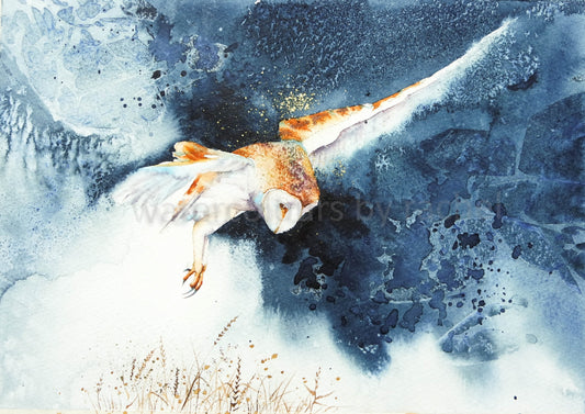 Hunting.... ( Barn Owl)