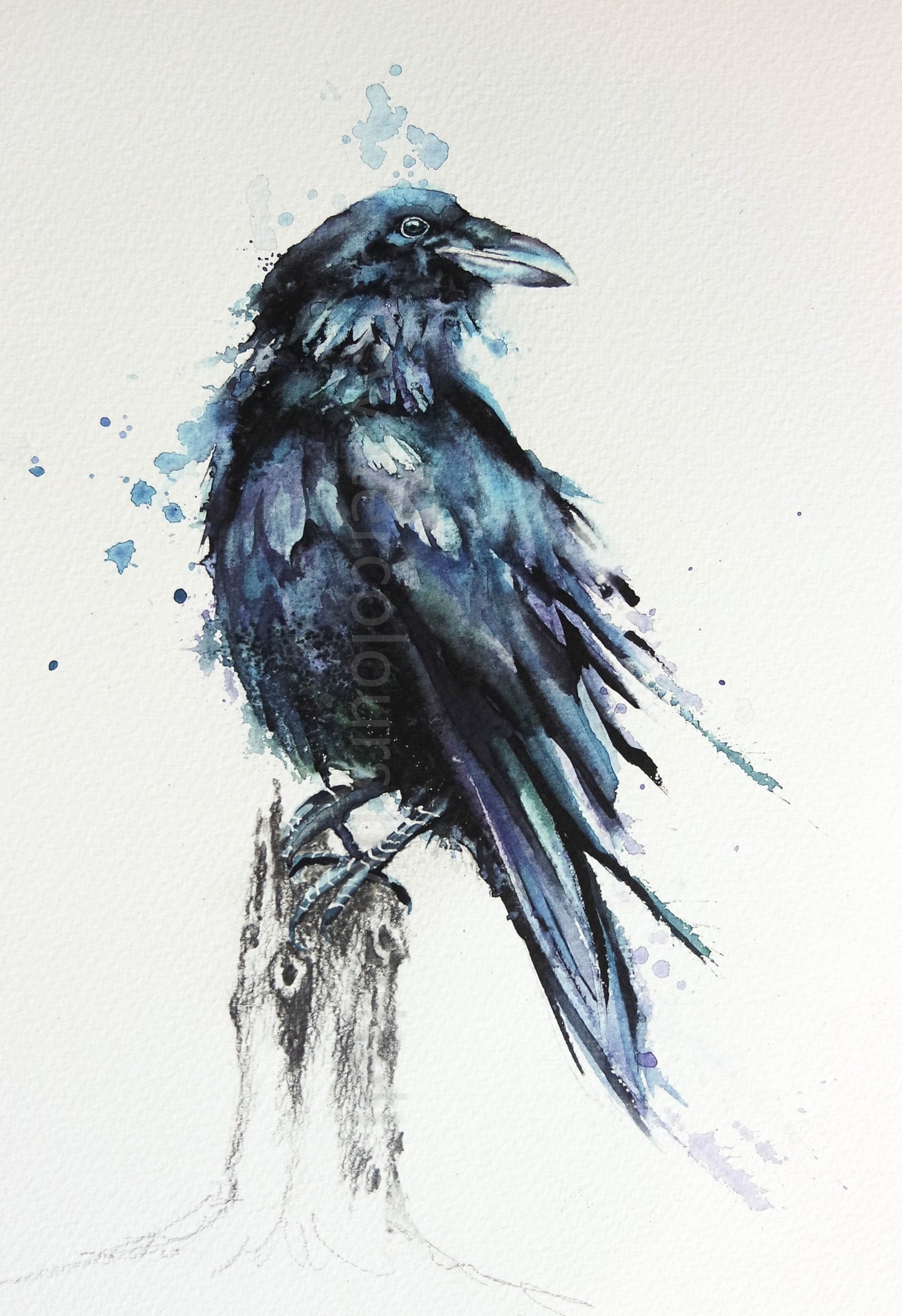 I just love painting crows