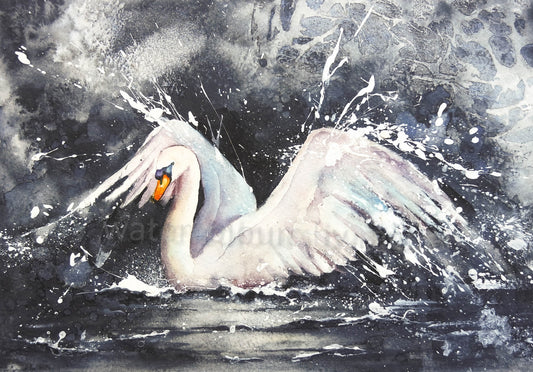 Swan Landing ***SALE***