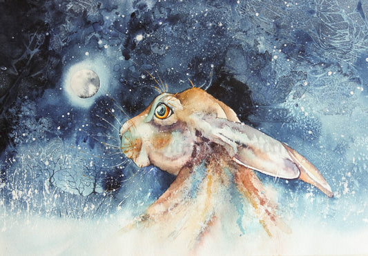 Moonlit Hare