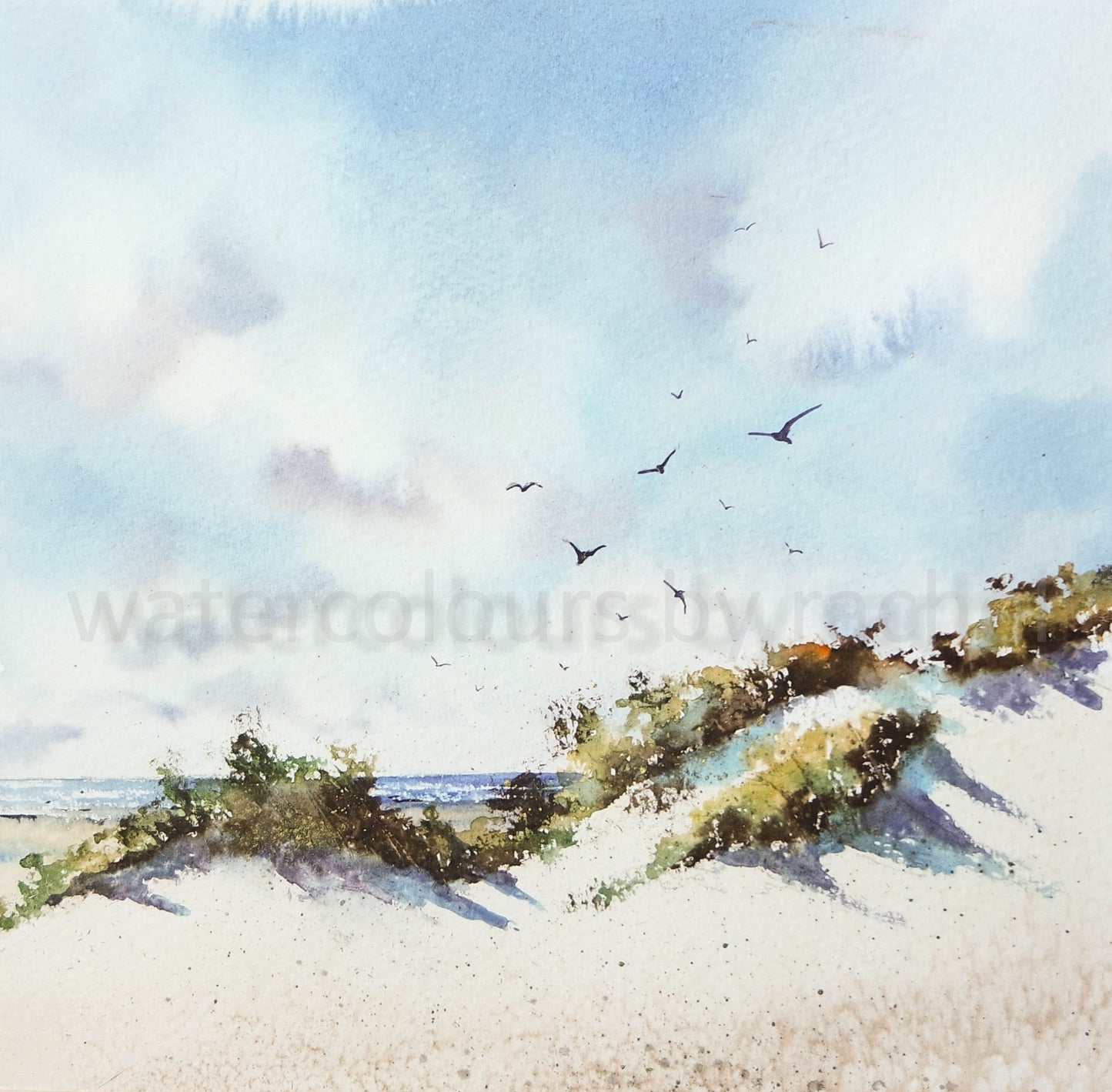 Sand dunes and seagulls