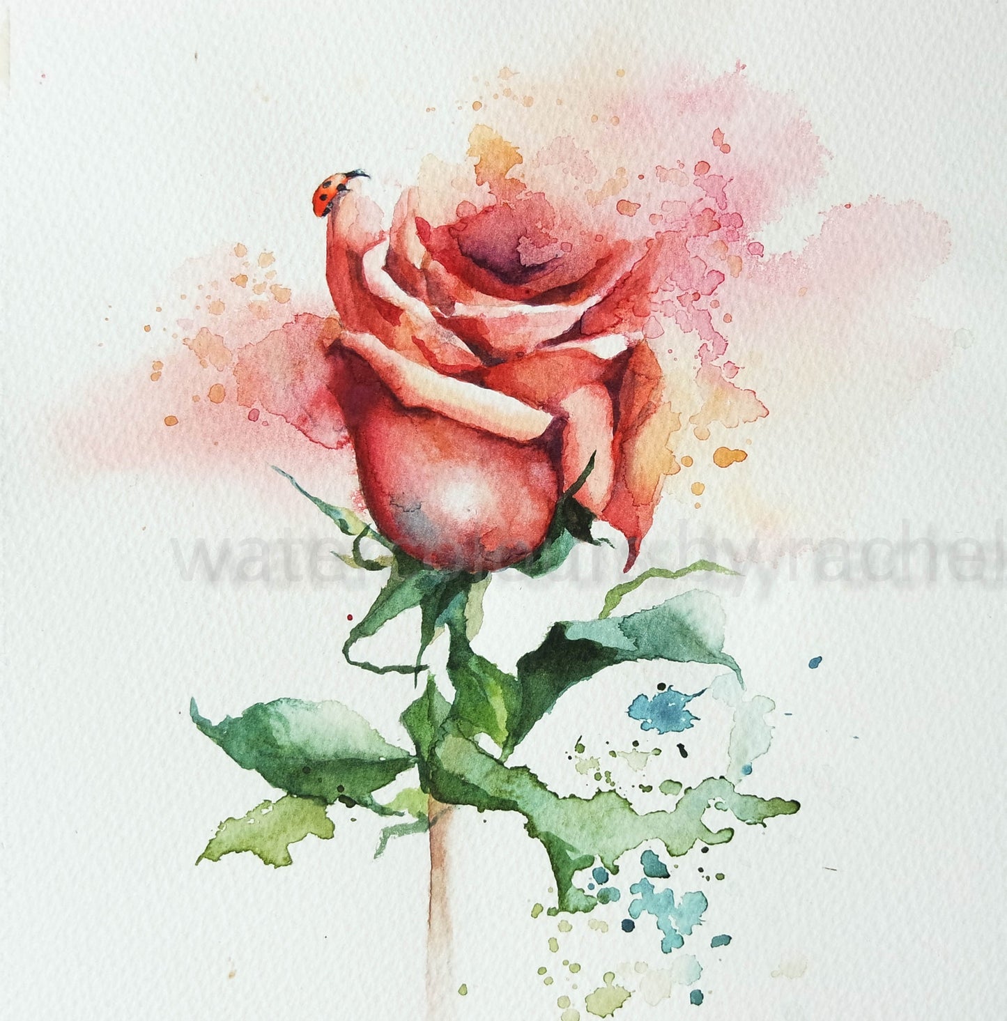 Splishy Splashy Rose and Ladybird