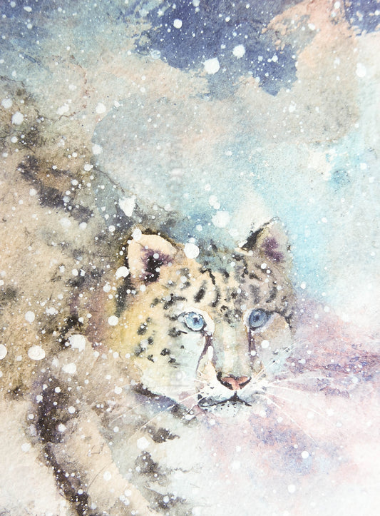 ***SALE*** ORIGINAL POSTCARD 6" x 4" JUST £15 !!!!! ( Snow Leopard)