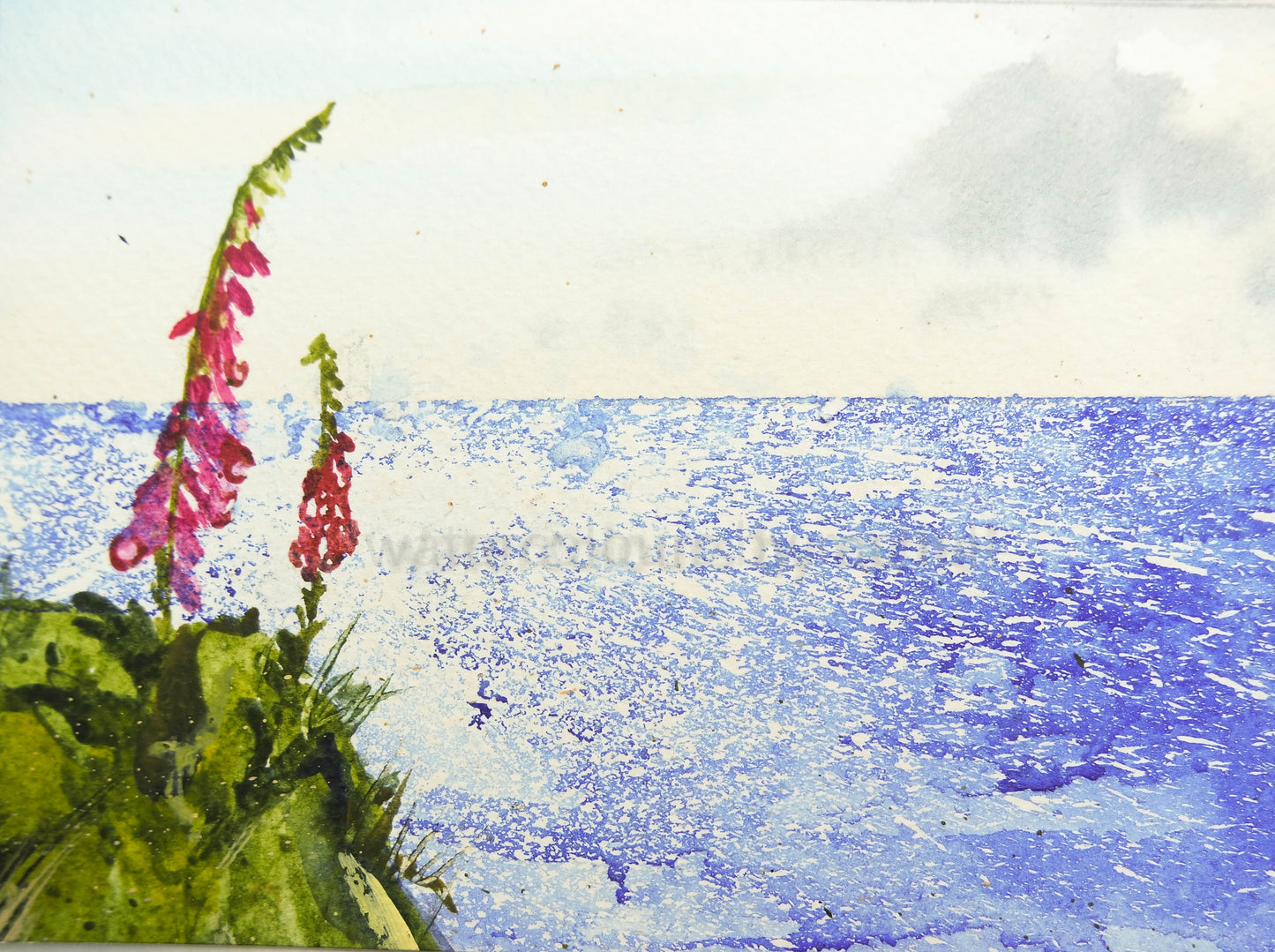 ***SALE*** ORIGINAL POSTCARD 6" x 4" JUST £15 !!!!! (Salty Foxgloves)
