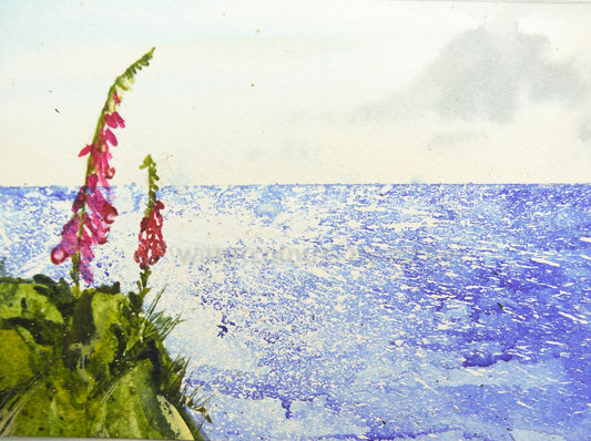 ***SALE*** ORIGINAL POSTCARD 6" x 4" JUST £15 !!!!! (Salty Foxgloves)