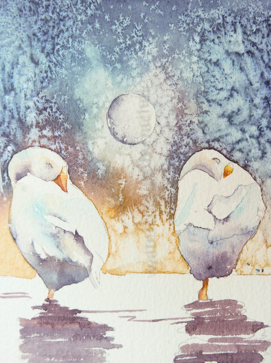 ***SALE*** ORIGINAL POSTCARD 6" x 4" JUST £15 !!!!! (Sleeping Geese)