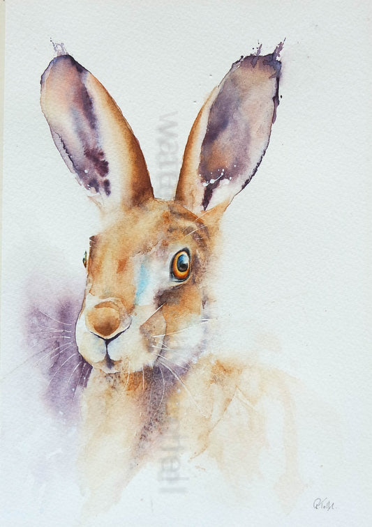 'Henry' the handsome hare