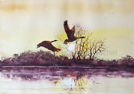 Dawn Flight